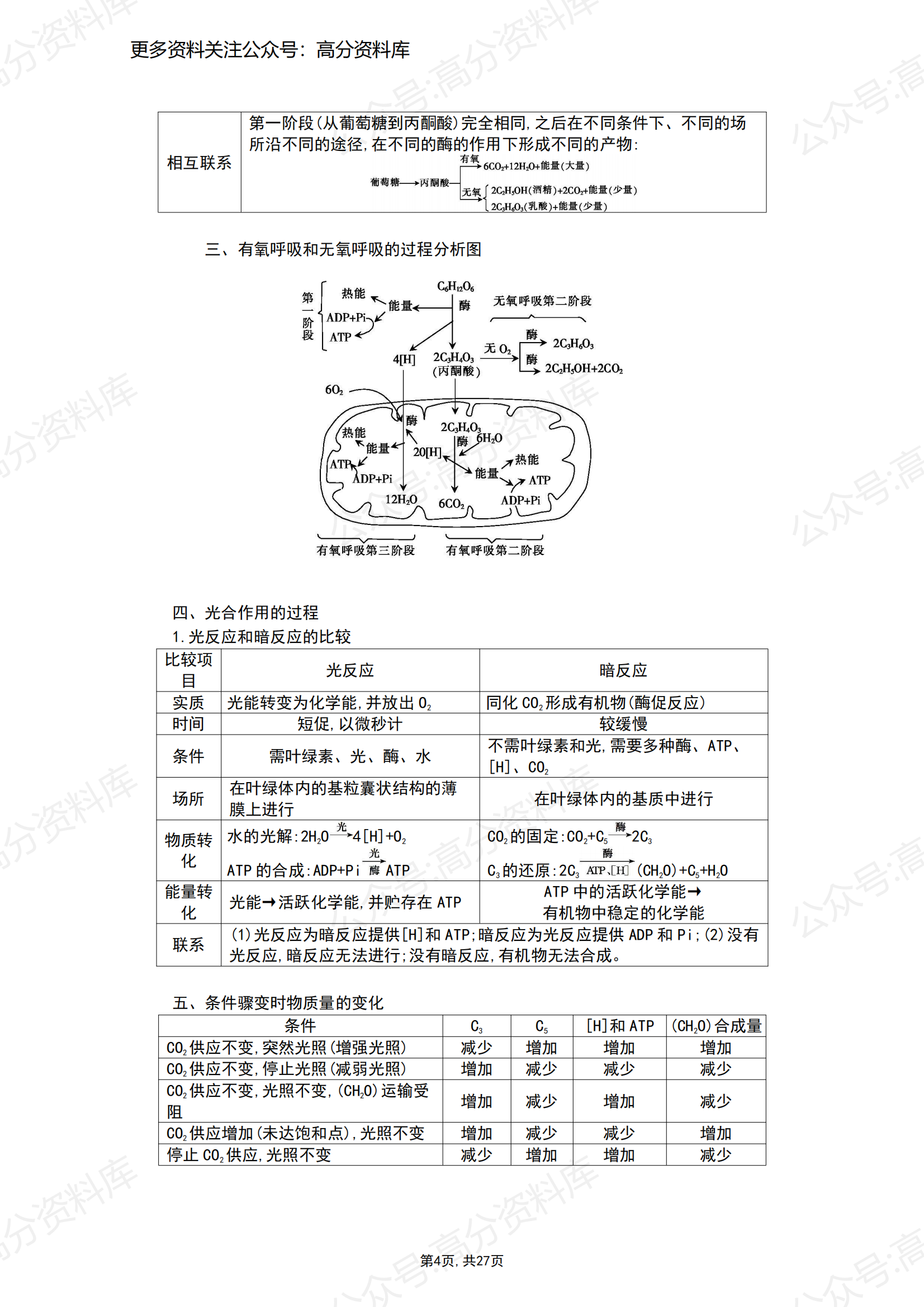高中生物-高三一轮复习生物知识点汇总插图高中生物3