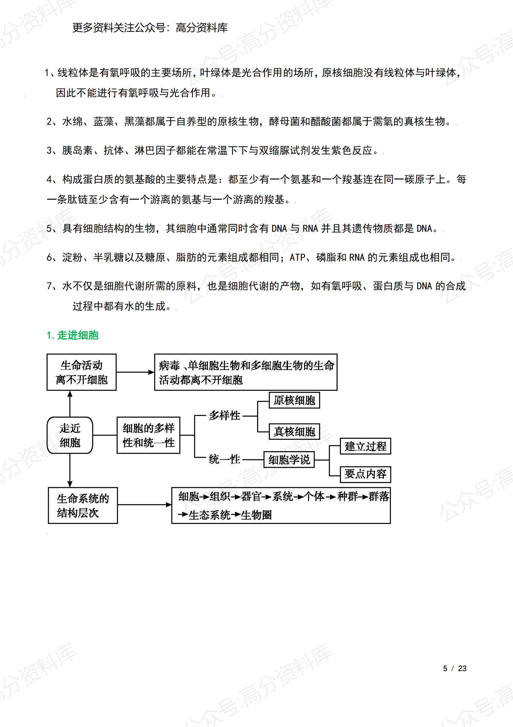 高中生物-高考生必备专题知识清单+思维导图插图高中生物4