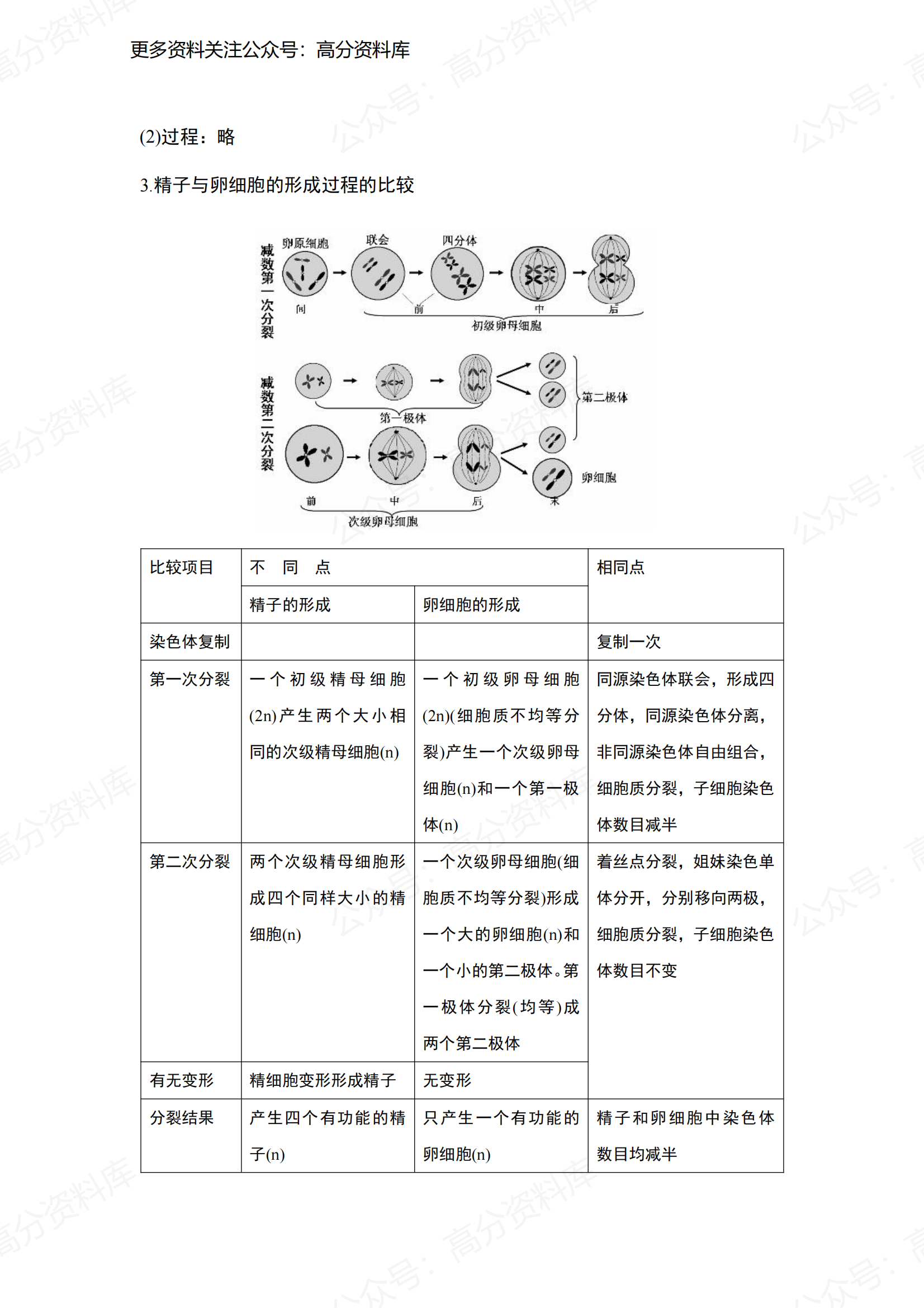高中生物-必修2基础知识点测试（附答案）插图高中生物5