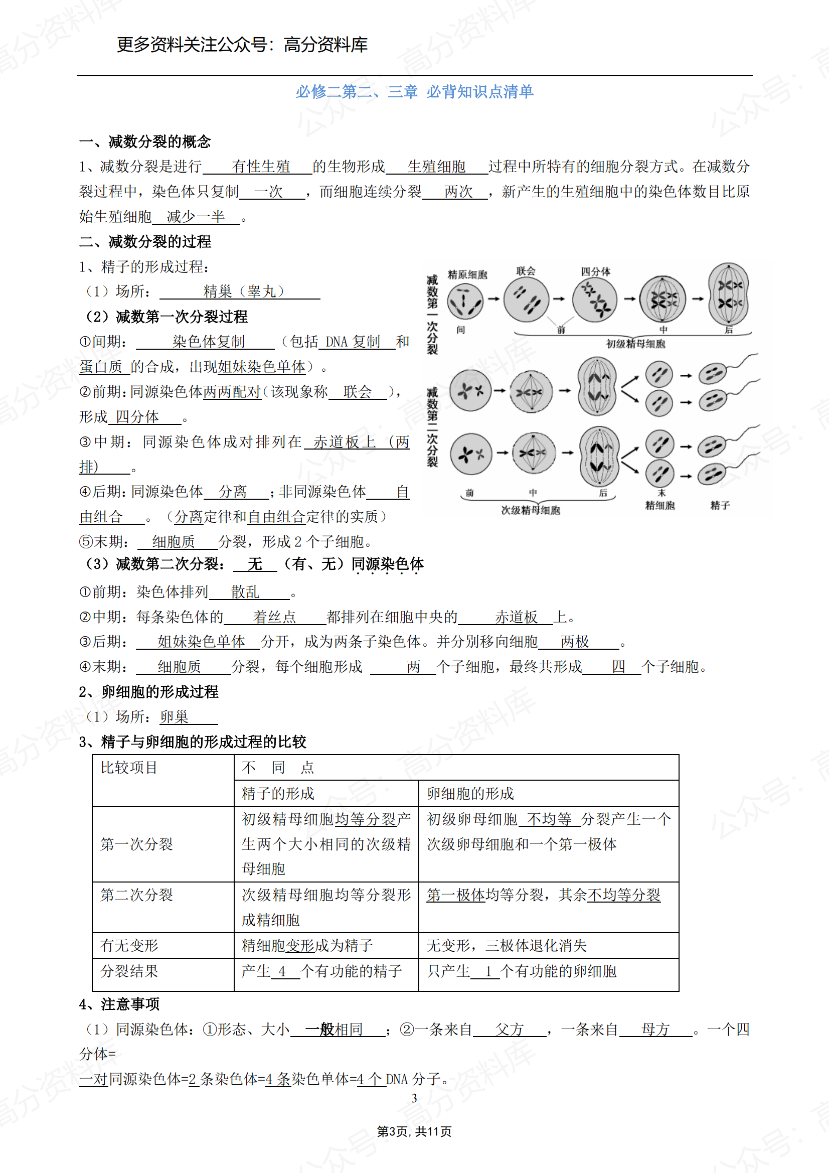 高中生物-人教版必修二必背知识清单教师版插图高中生物2