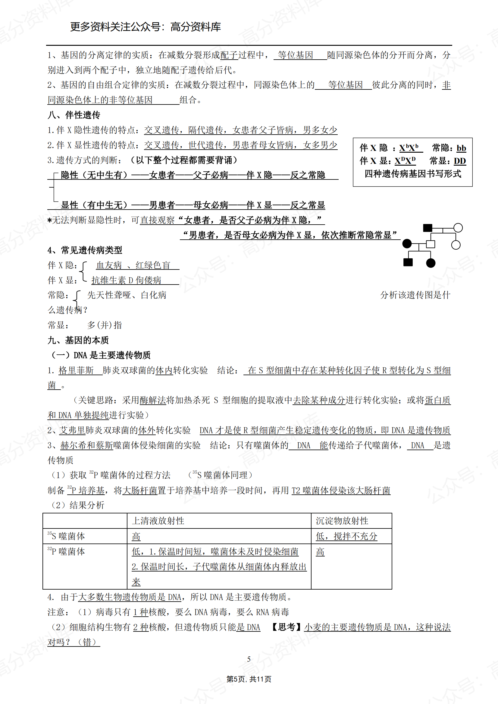 高中生物-人教版必修二必背知识清单教师版插图高中生物4
