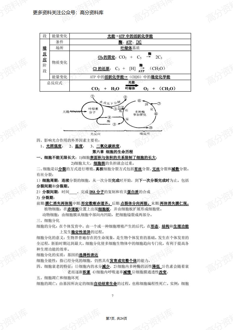 高中生物-学考知识点总结（完整版）插图高中生物6