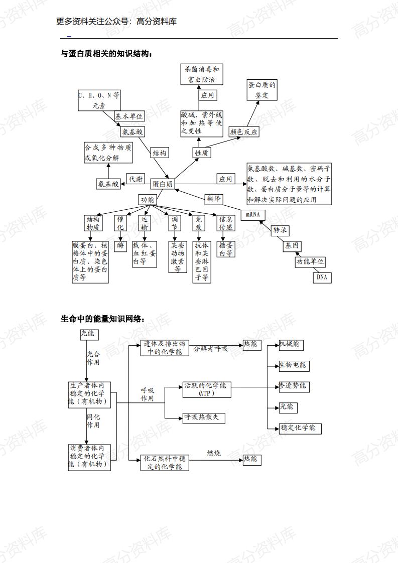 高中生物-知识网络体系（全面）插图高中生物4