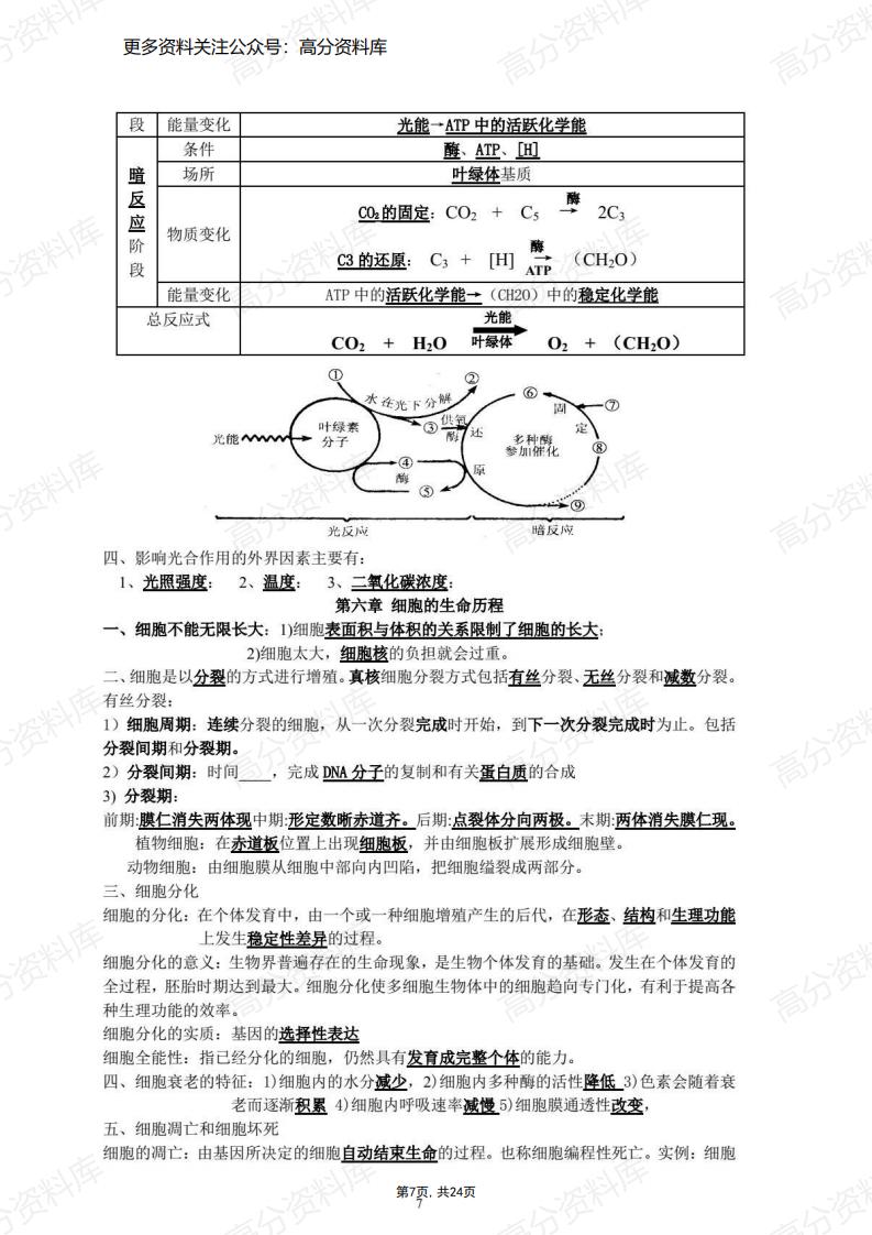 高中生物-学考知识点归纳整理（旧版教材）插图高中生物6