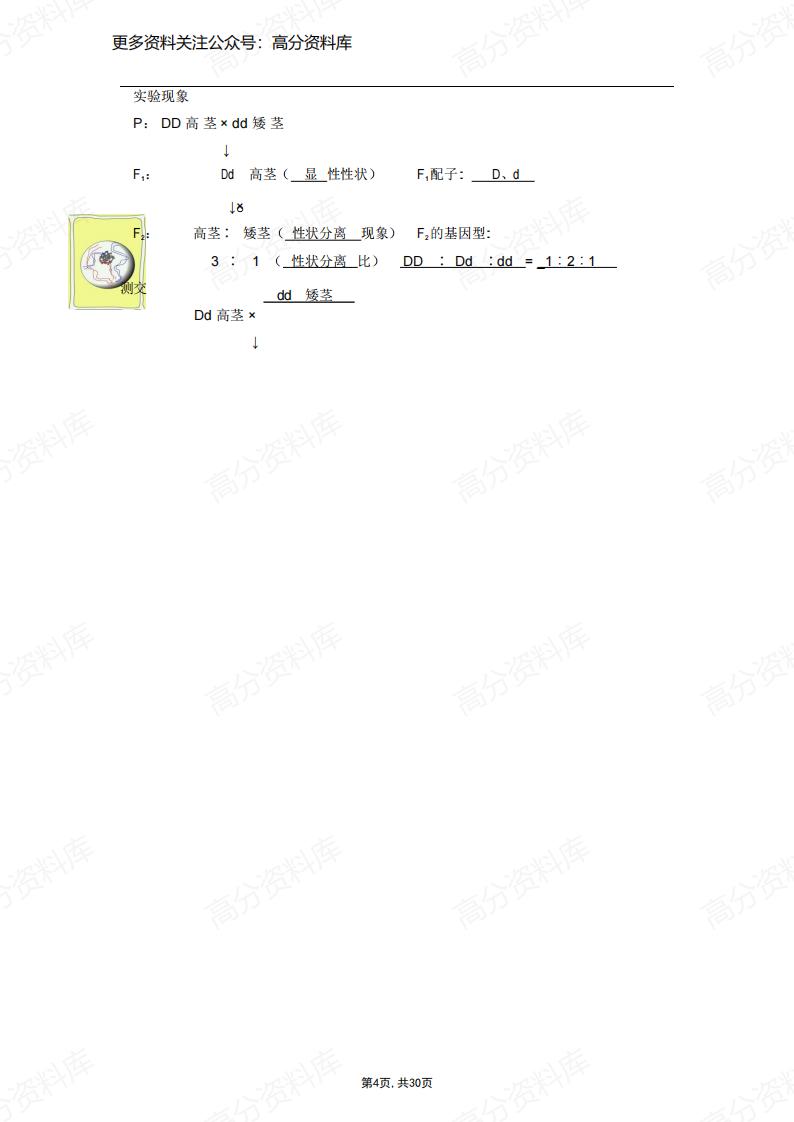高中生物-精要知识点(必修123及选修1)插图高中生物3