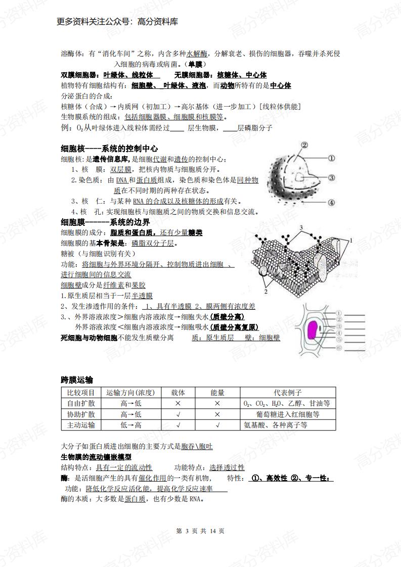 高中生物-会考复习知识点插图高中生物2