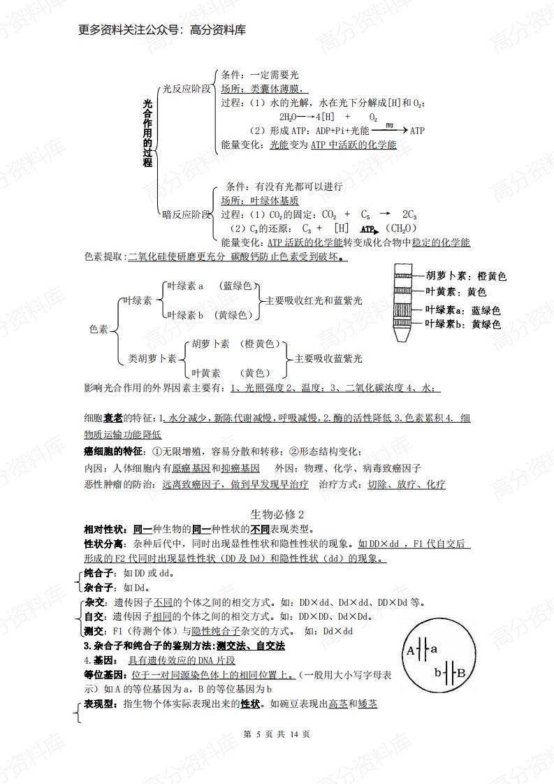 高中生物-会考复习知识点插图高中生物4