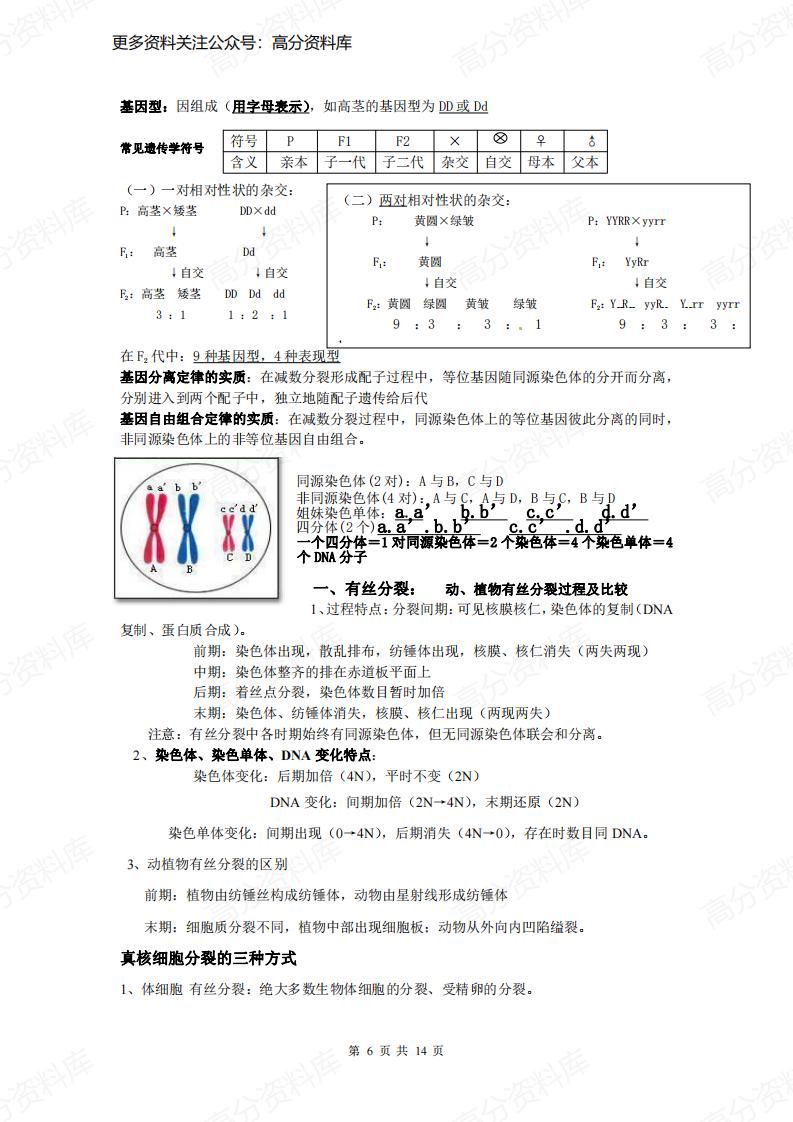 高中生物-会考复习知识点插图高中生物5