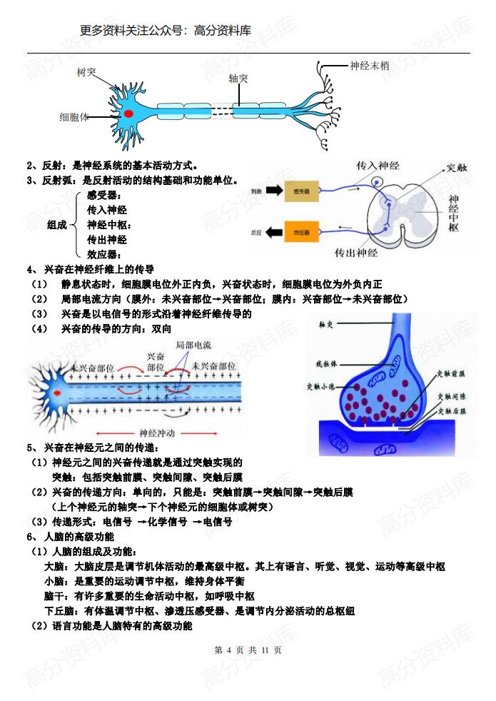 高中生物-苏教版必修三知识点总结插图高中生物3