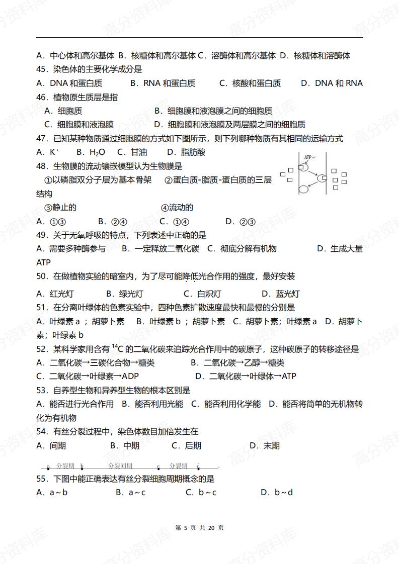 高中生物-新人教高中生物必修一总复习练习题精选插图高中生物4