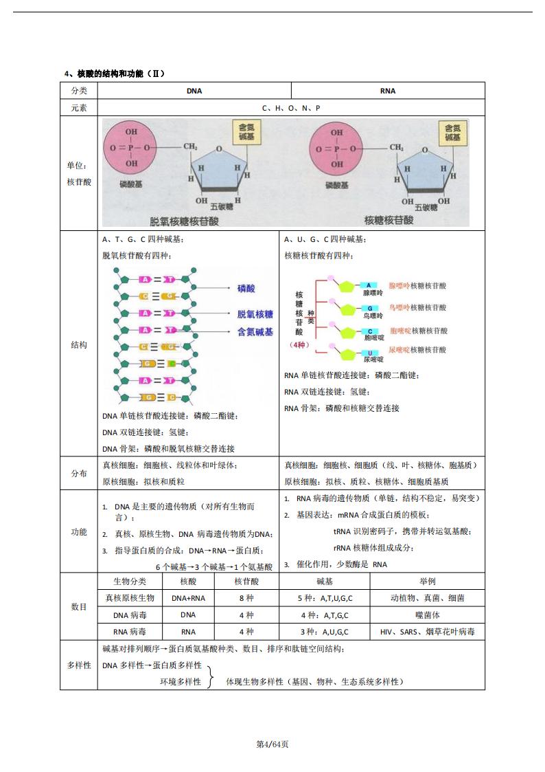 高中生物-高考第一轮复习知识点梳理总结插图高中生物3