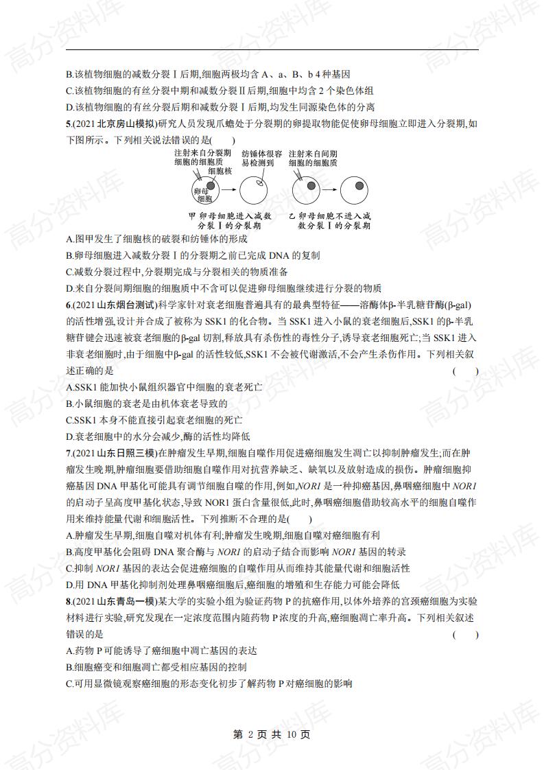 高中生物-高考生物复习《细胞的生命历程》专项练习及答案插图高中生物1