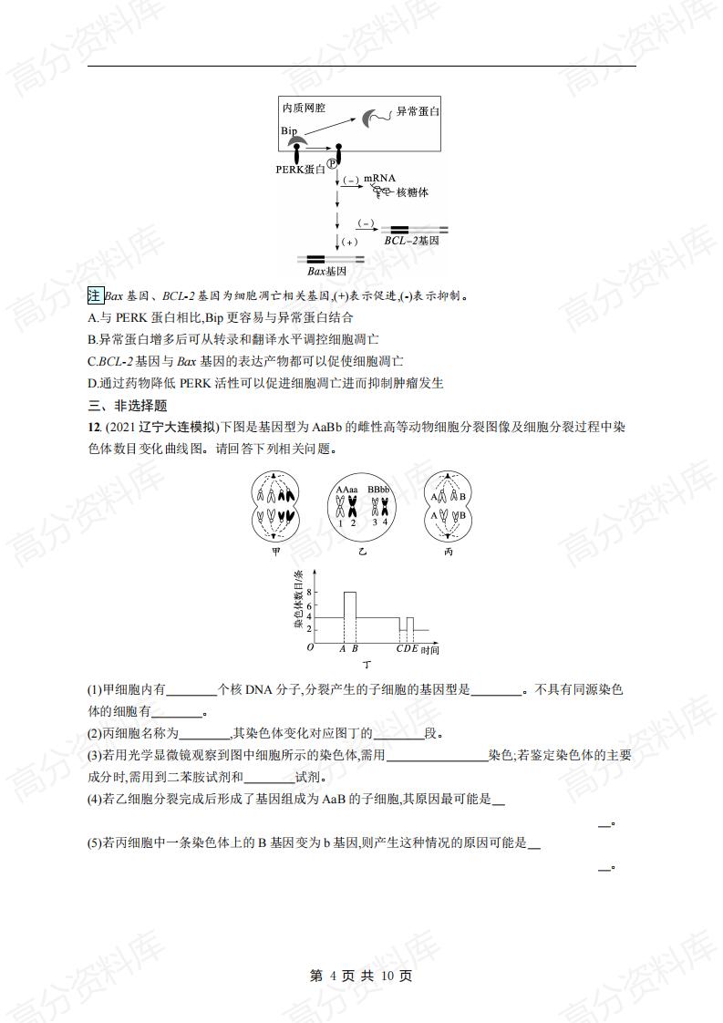 高中生物-高考生物复习《细胞的生命历程》专项练习及答案插图高中生物3