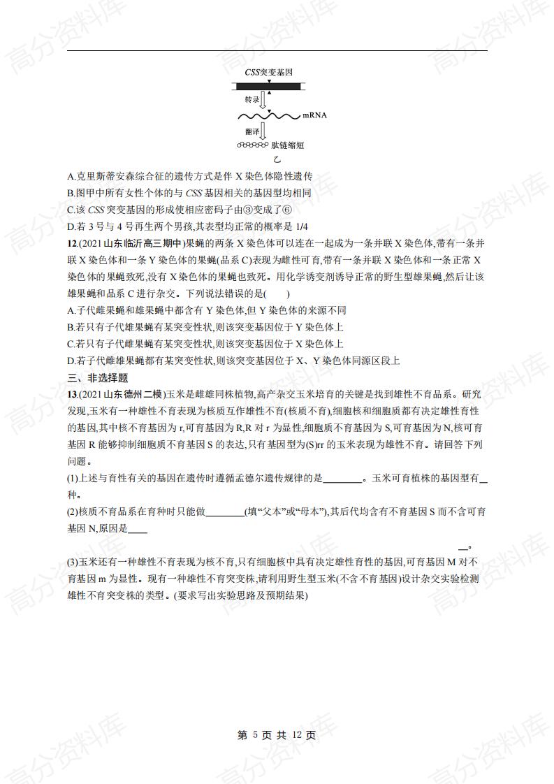 高中生物-高考生物复习《遗传规律与伴性遗传(含人类遗传病)》专项练习及答案插图高中生物4