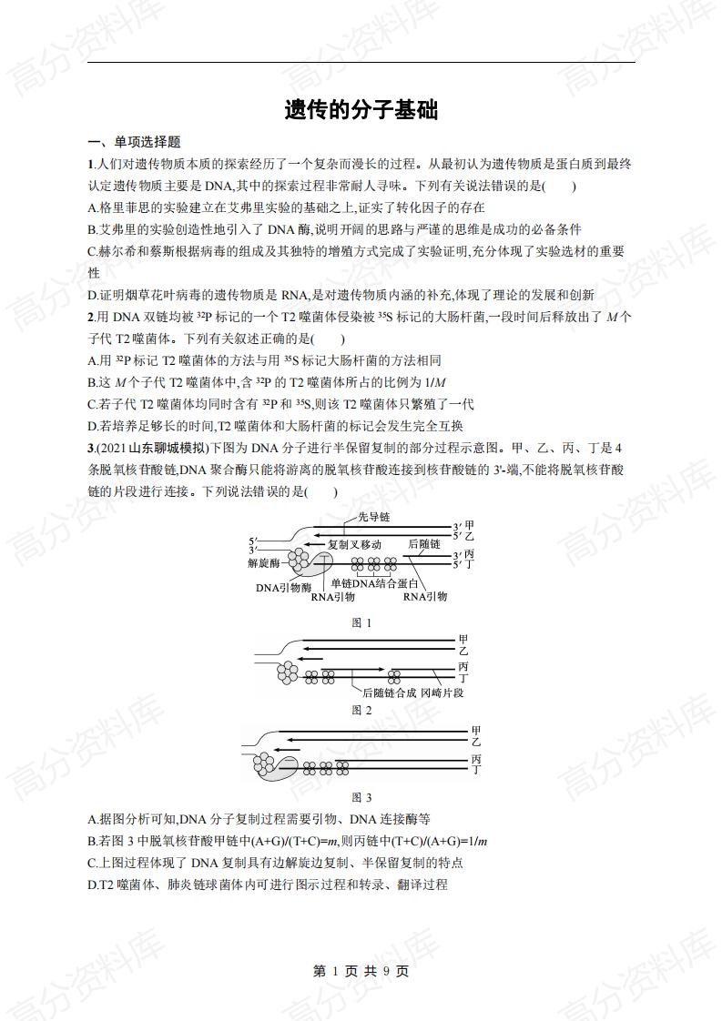 高中生物-高考生物复习《遗传的分子基础》专项练习及答案-言心吖资料库