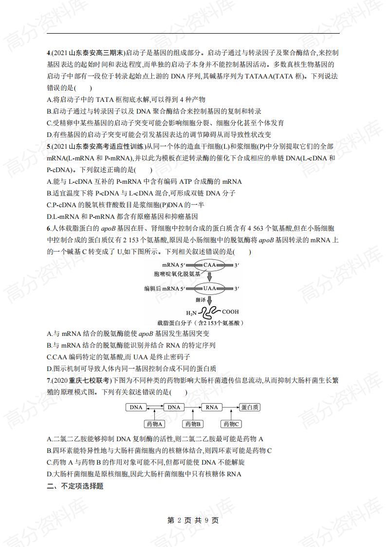 高中生物-高考生物复习《遗传的分子基础》专项练习及答案插图高中生物1