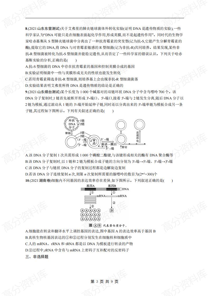 高中生物-高考生物复习《遗传的分子基础》专项练习及答案插图高中生物2
