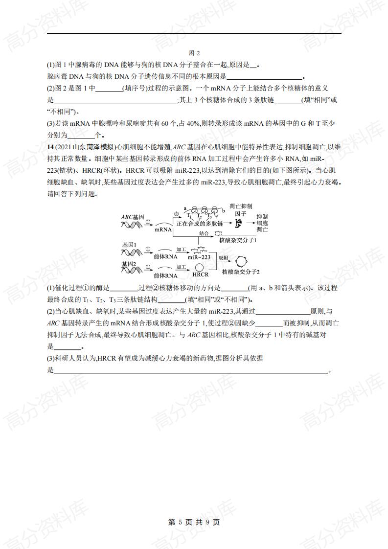 高中生物-高考生物复习《遗传的分子基础》专项练习及答案插图高中生物4