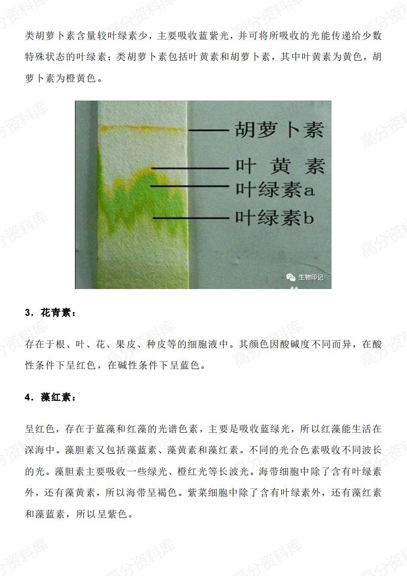 高中生物-高中生物涉及的各种“素”插图高中生物7