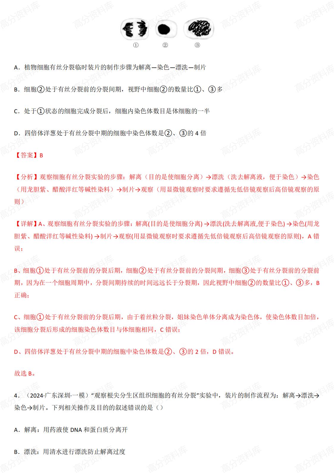 高中生物-有丝分裂和减数分裂3年（2022-2024）真题汇编和模拟题插图高中生物4
