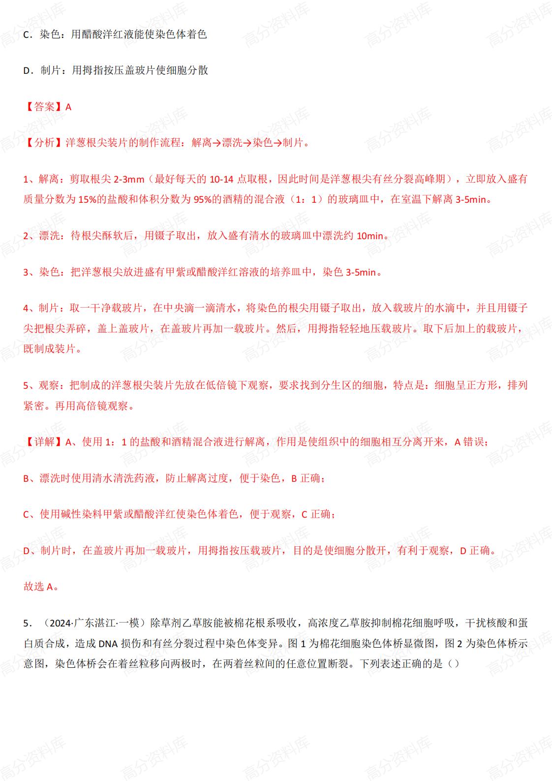 高中生物-有丝分裂和减数分裂3年（2022-2024）真题汇编和模拟题插图高中生物5