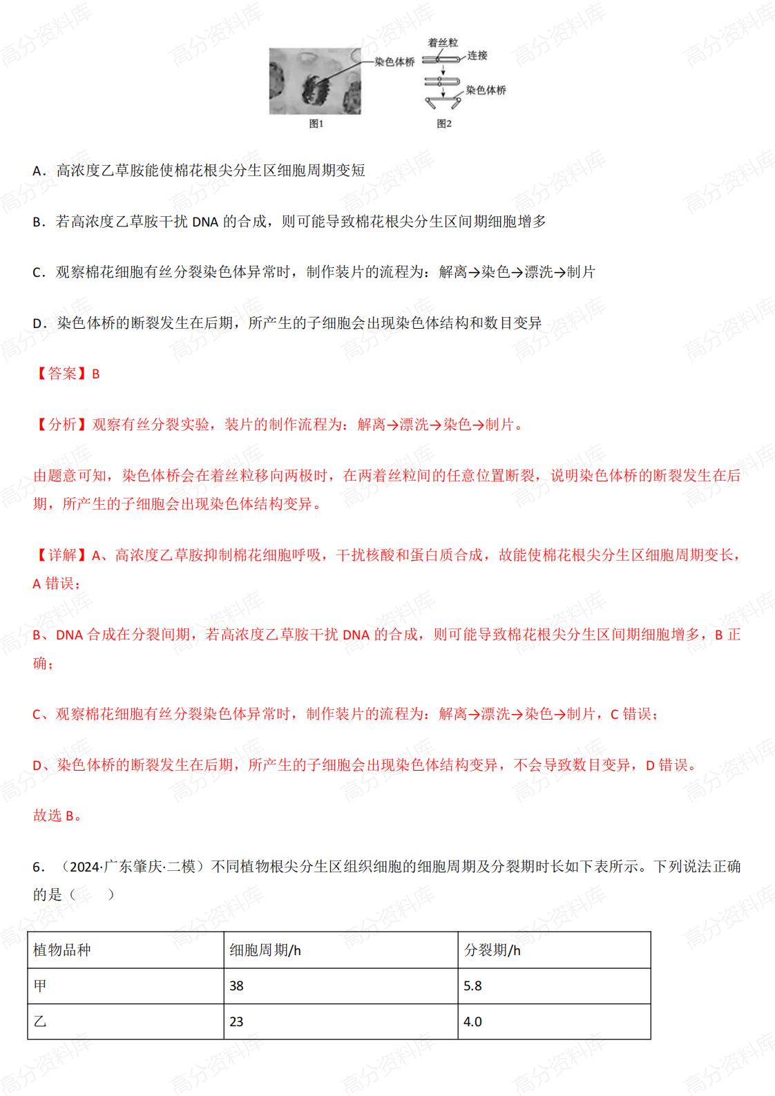 高中生物-有丝分裂和减数分裂3年（2022-2024）真题汇编和模拟题插图高中生物6