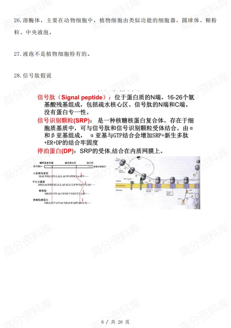 高中生物-教材边角知识汇总插图高中生物5