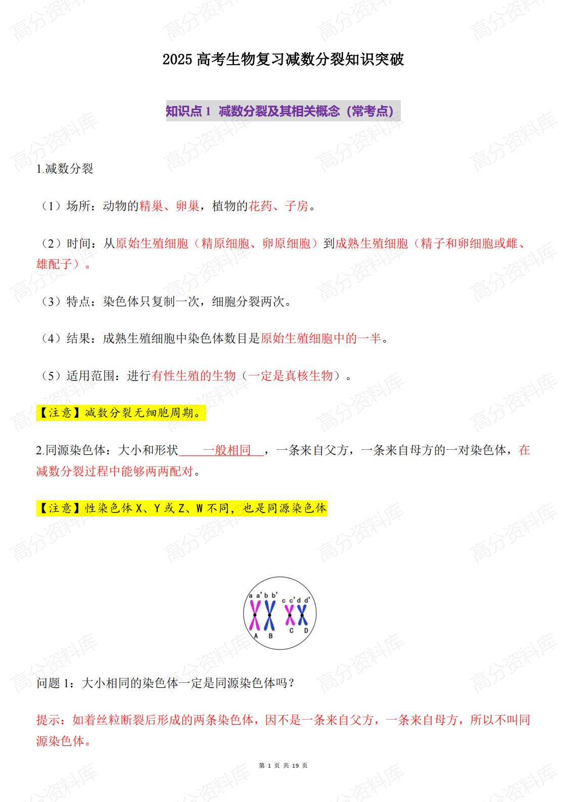 高中生物-2025高考生物复习减数分裂知识突破-言心吖资料库