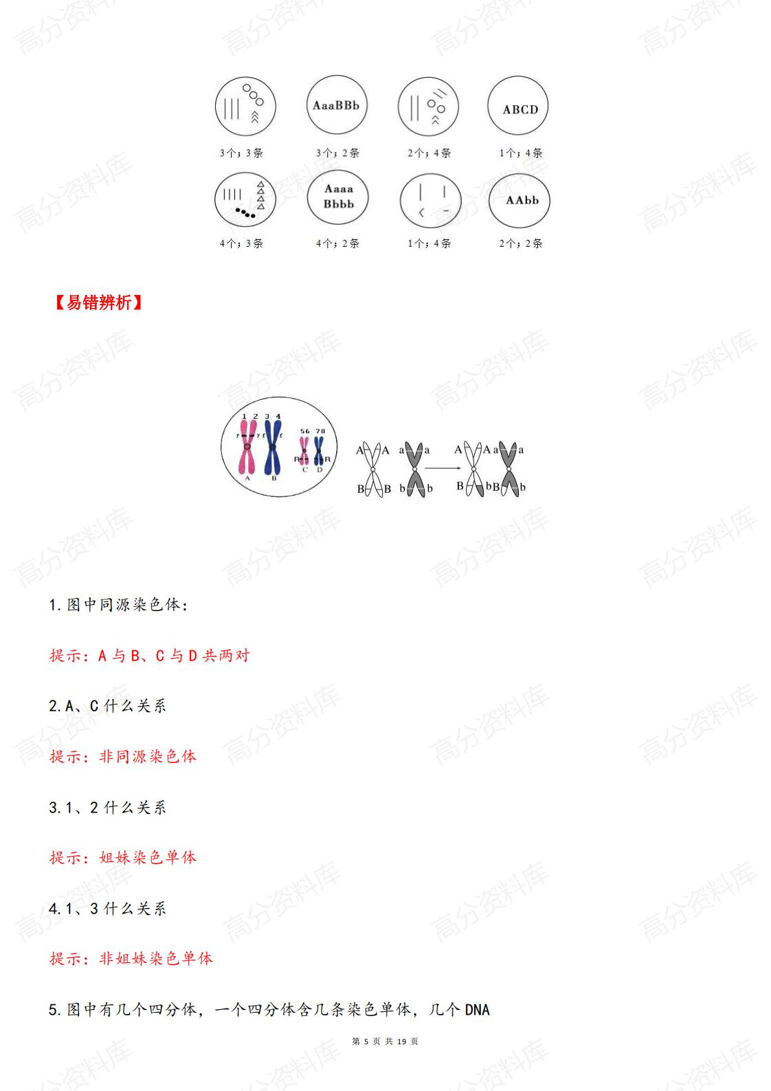 高中生物-2025高考生物复习减数分裂知识突破插图高中生物4