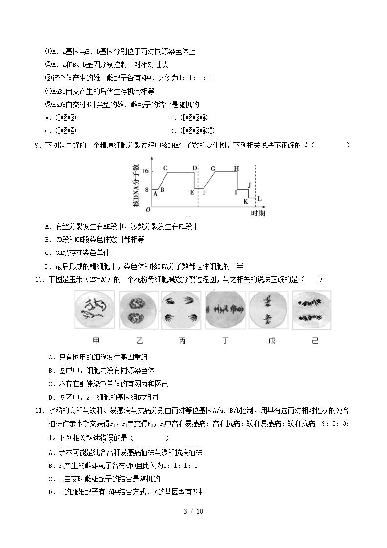 高中生物-高一下学期月考试卷第1次答案解析人教版插图同步试卷专项2