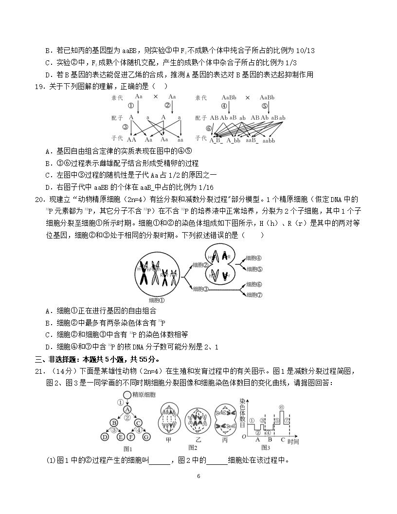 高中生物-高一下学期月考试卷第1次答案解析通用版插图同步试卷专项5