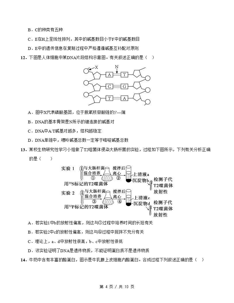 高中生物-高一下学期月考试卷第3次答案解析人教版插图同步试卷专项3