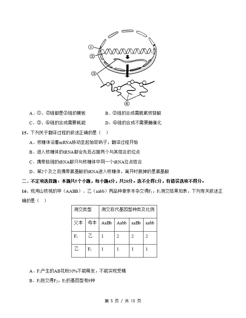 高中生物-高一下学期月考试卷第3次答案解析人教版插图同步试卷专项4