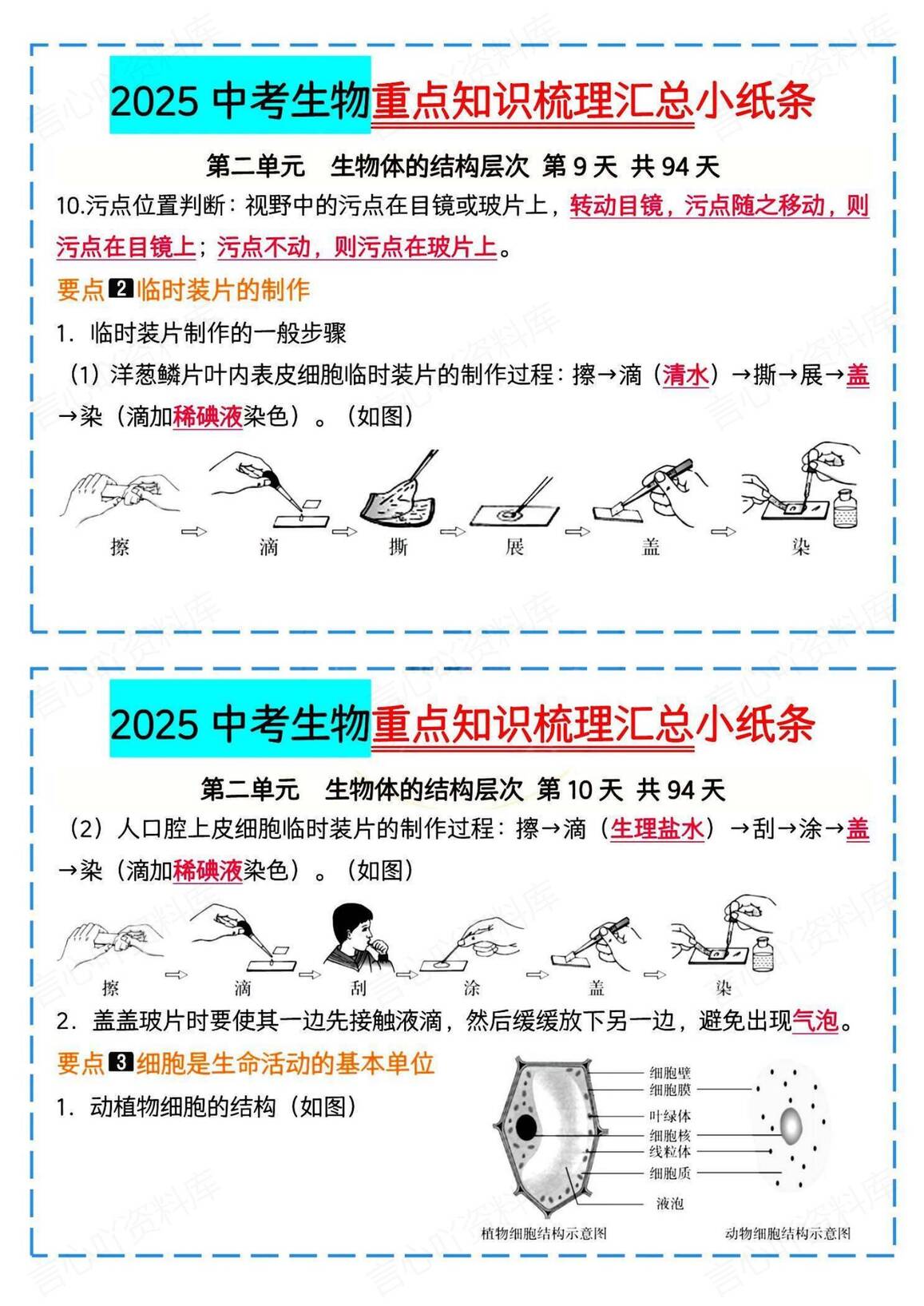 初中生物 | 中考复习知识汇总背记小纸条插图初中生物4