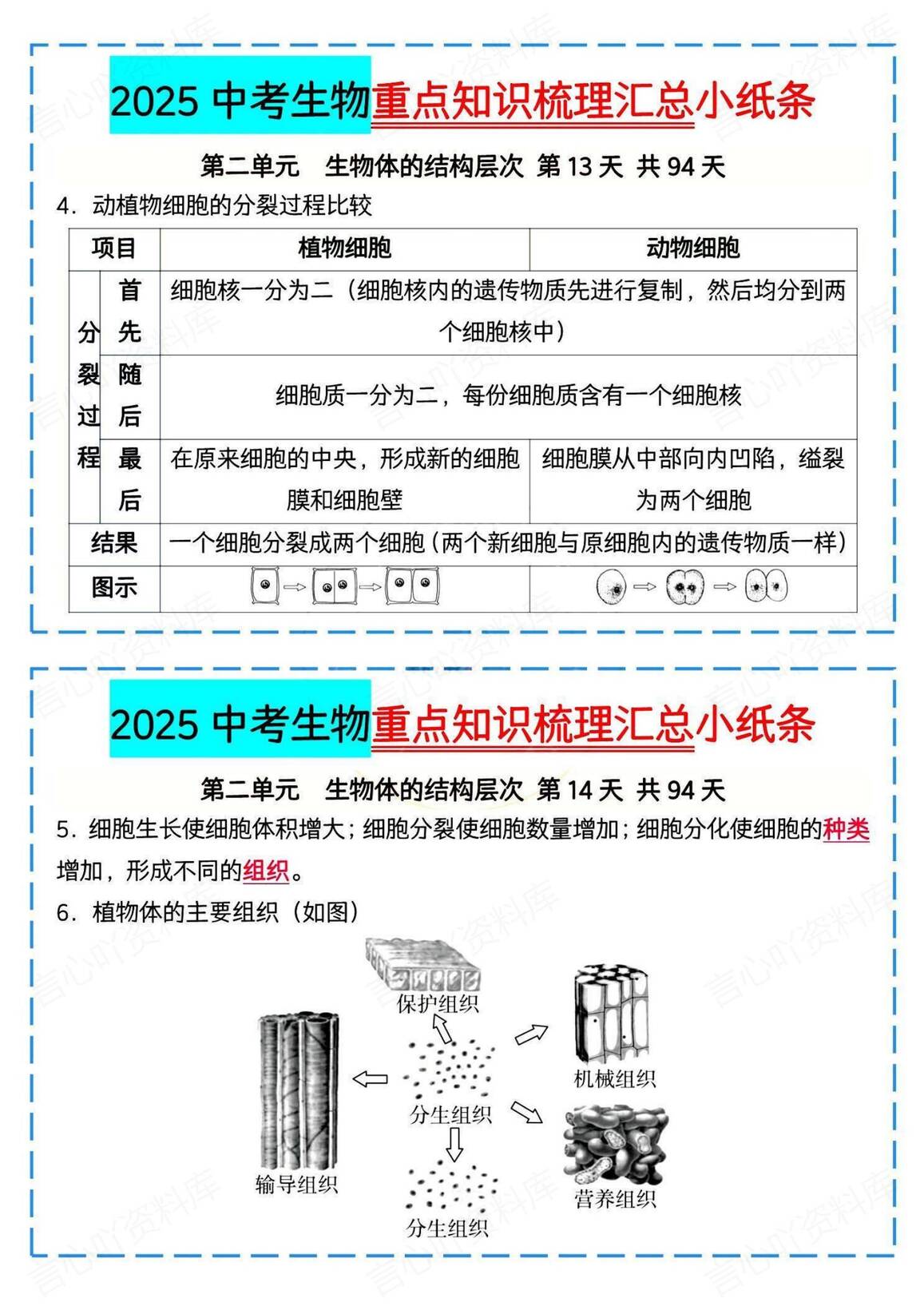 初中生物 | 中考复习知识汇总背记小纸条插图初中生物6