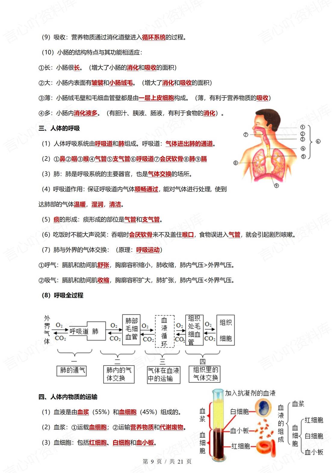 初中生物 | 会考知识必背归纳梳理精简版插图初中生物3