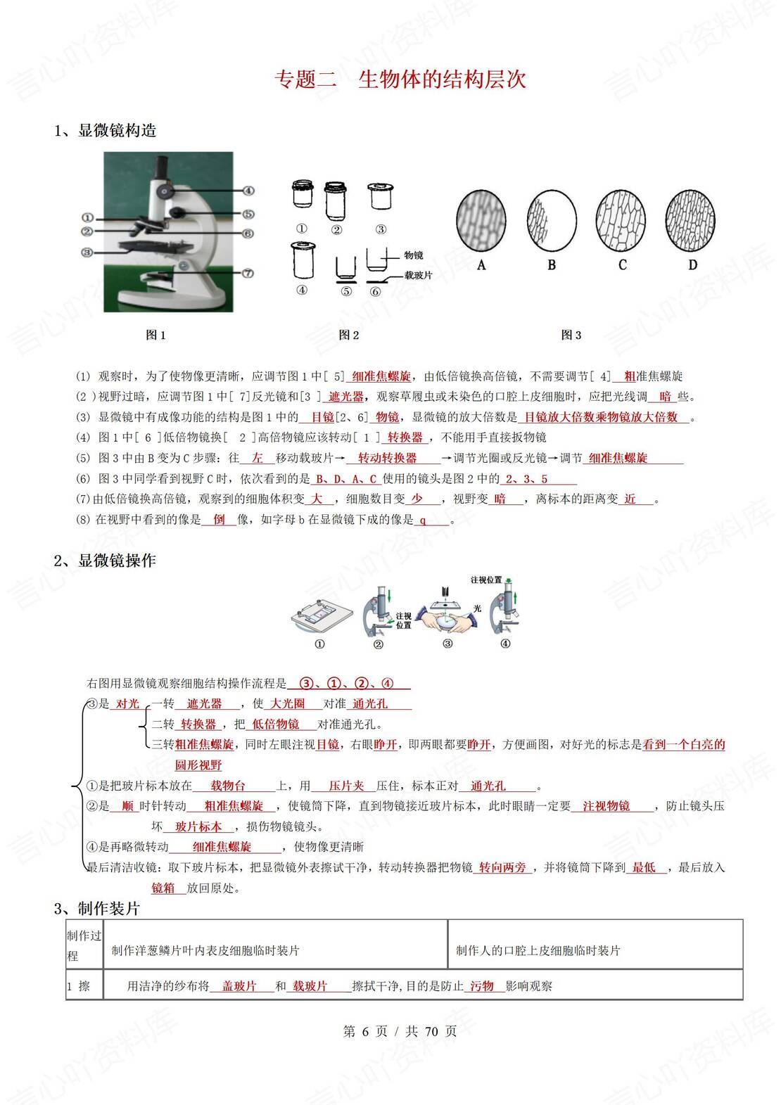 初中生物 | 会考思维导图填空背默知识清单插图初中生物2