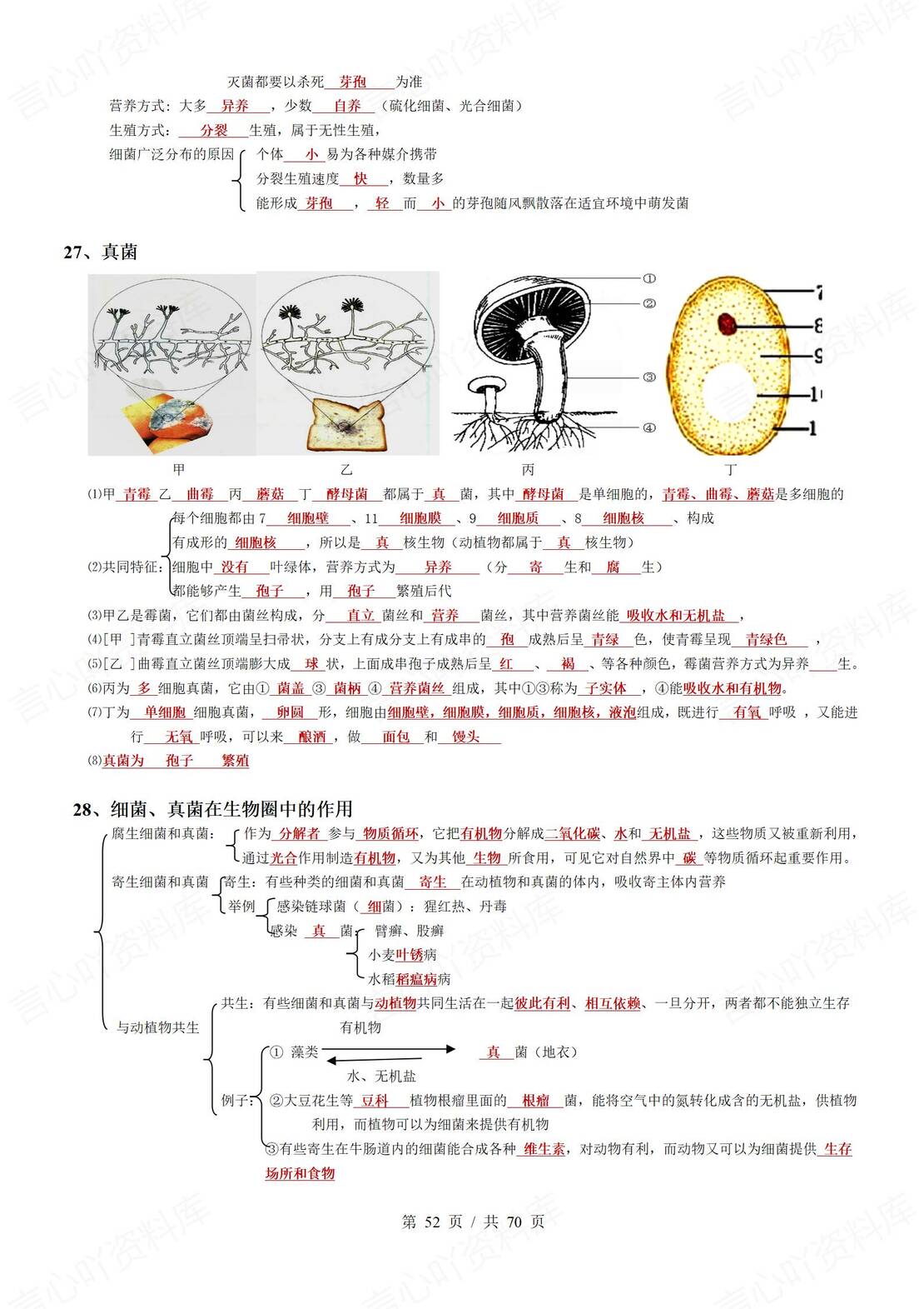初中生物 | 会考思维导图填空背默知识清单插图初中生物7