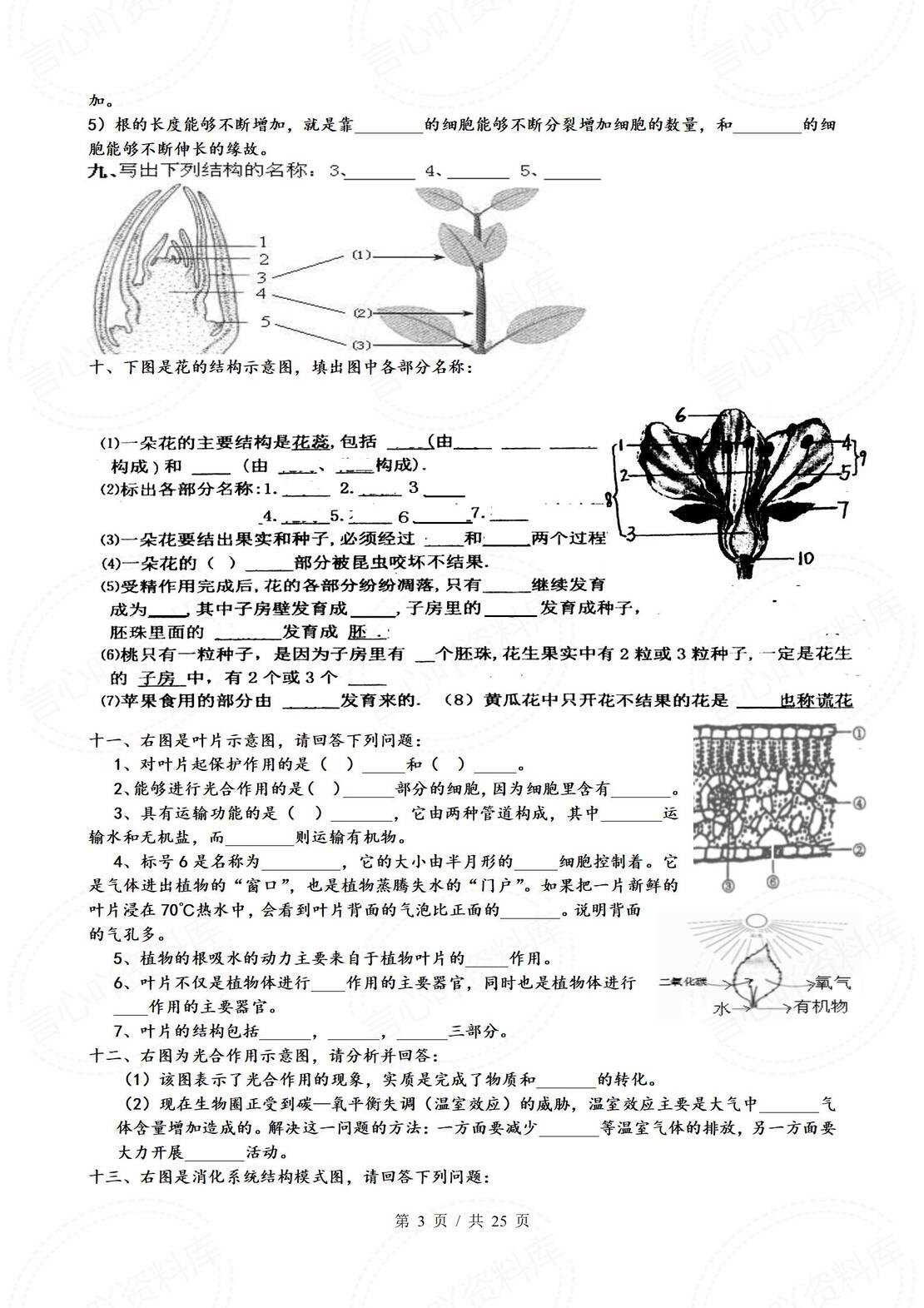 初中生物 | 常考识图题专项练习含答案插图初中生物2