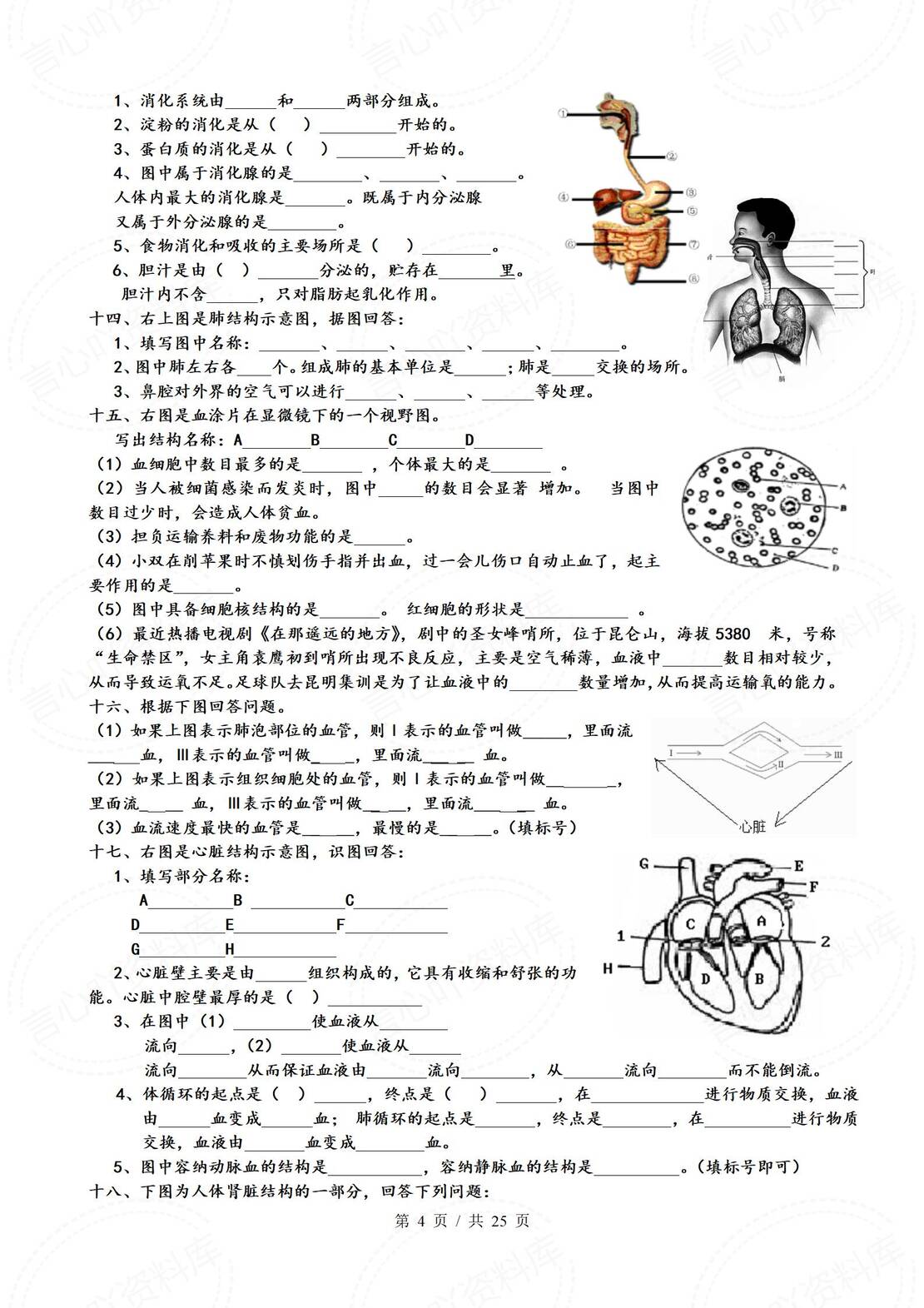 初中生物 | 常考识图题专项练习含答案插图初中生物3