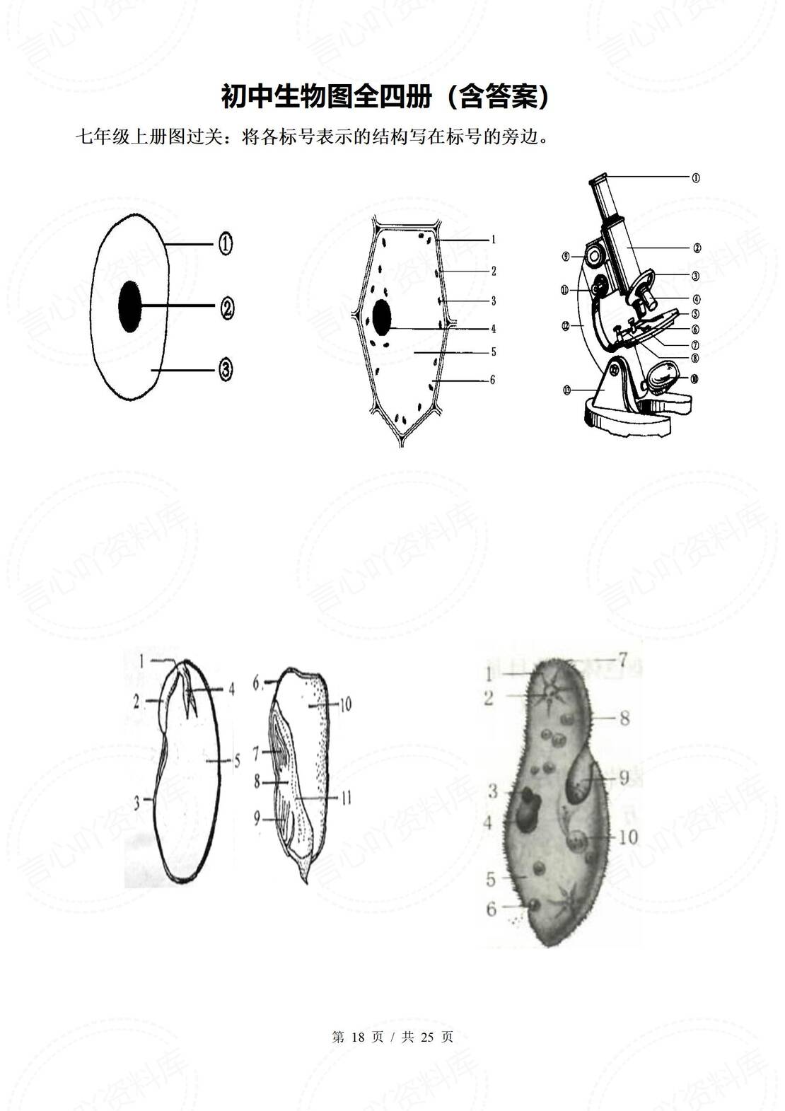初中生物 | 常考识图题专项练习含答案插图初中生物5