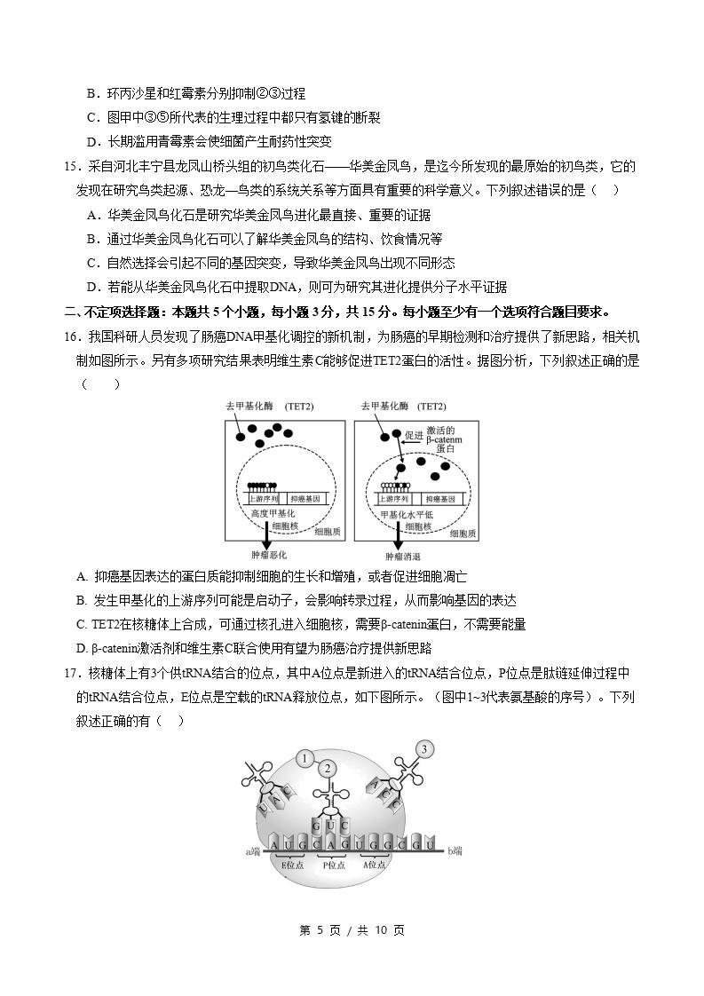 高中生物-高一下学期期末试卷答案解析通用版插图同步试卷专项4