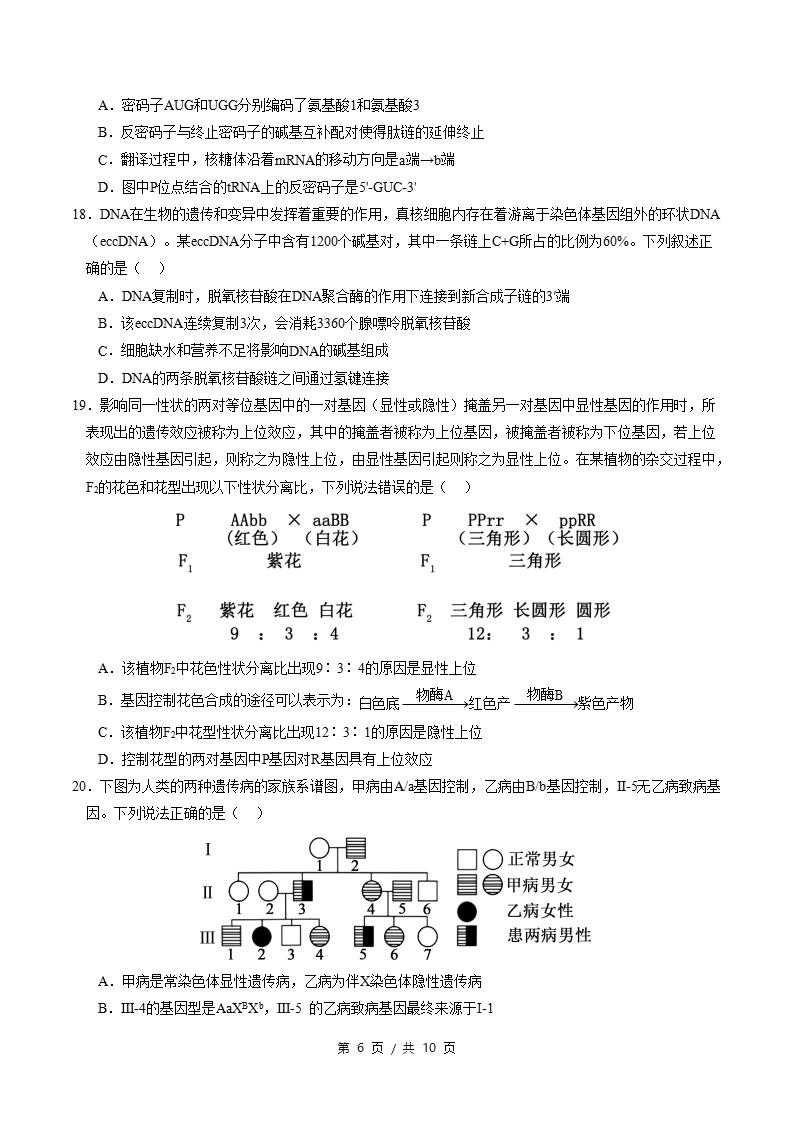 高中生物-高一下学期期末试卷答案解析通用版插图同步试卷专项5