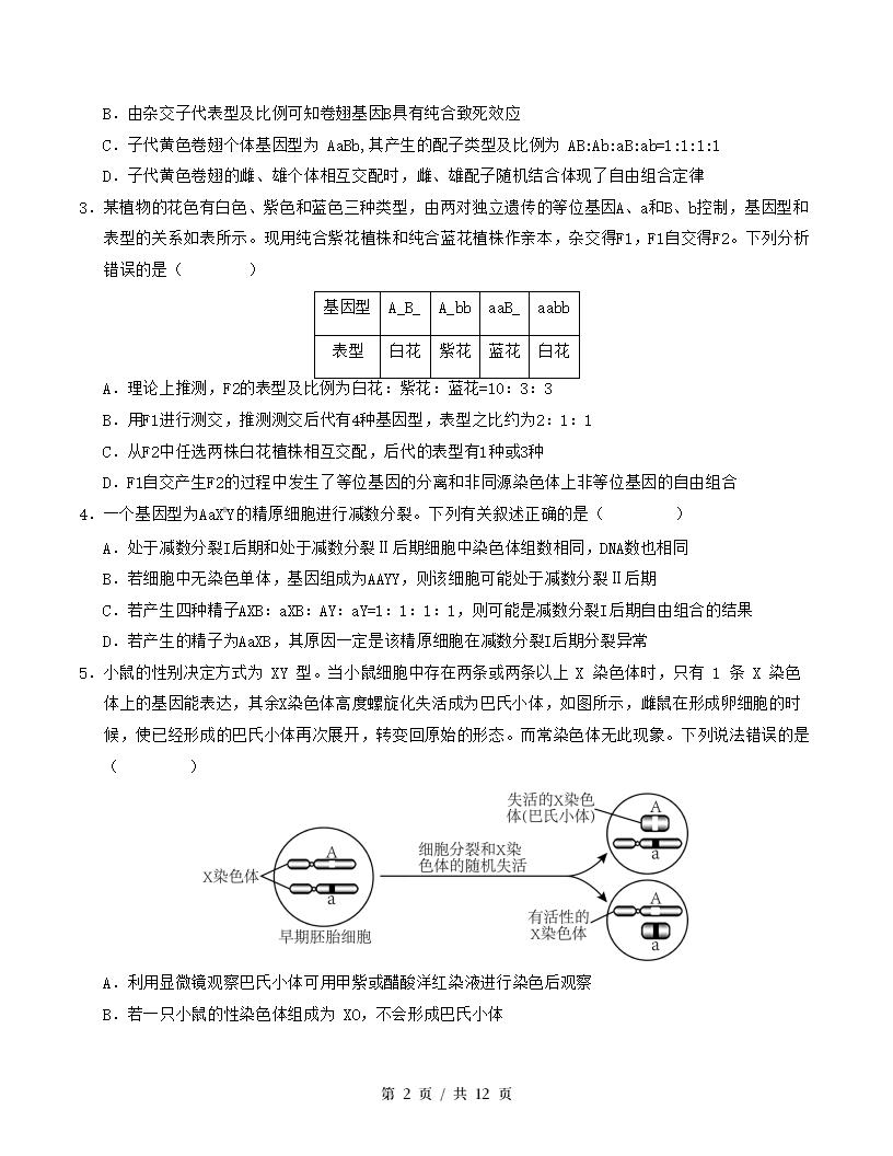 高中生物-高一下学期期末试卷答案解析人教版插图同步试卷专项1