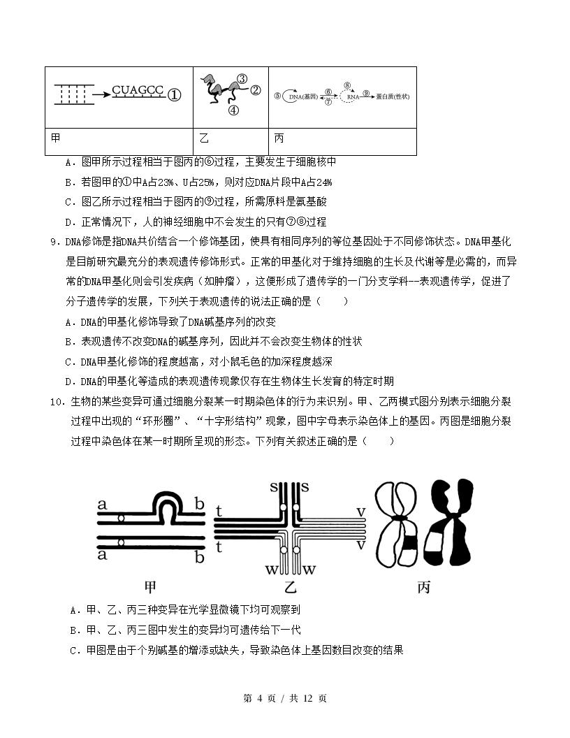 高中生物-高一下学期期末试卷答案解析人教版插图同步试卷专项3