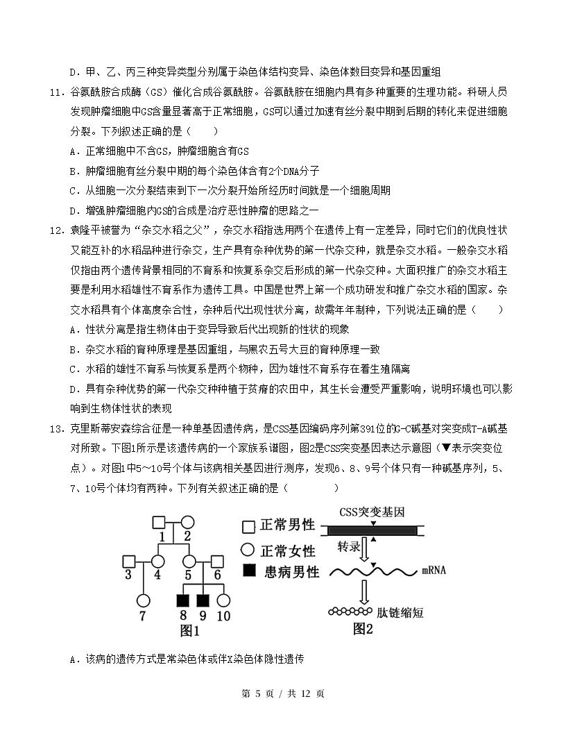 高中生物-高一下学期期末试卷答案解析人教版插图同步试卷专项4