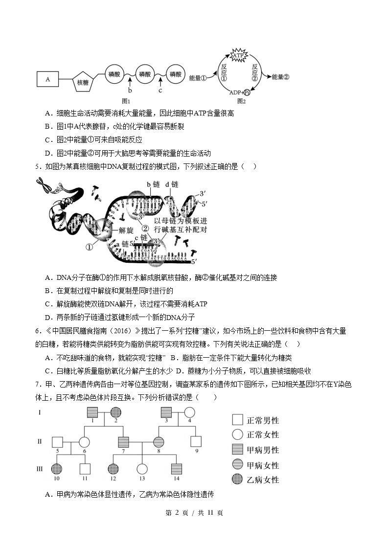高中生物-高一下学期期末试卷答案解析浙科版插图同步试卷专项1