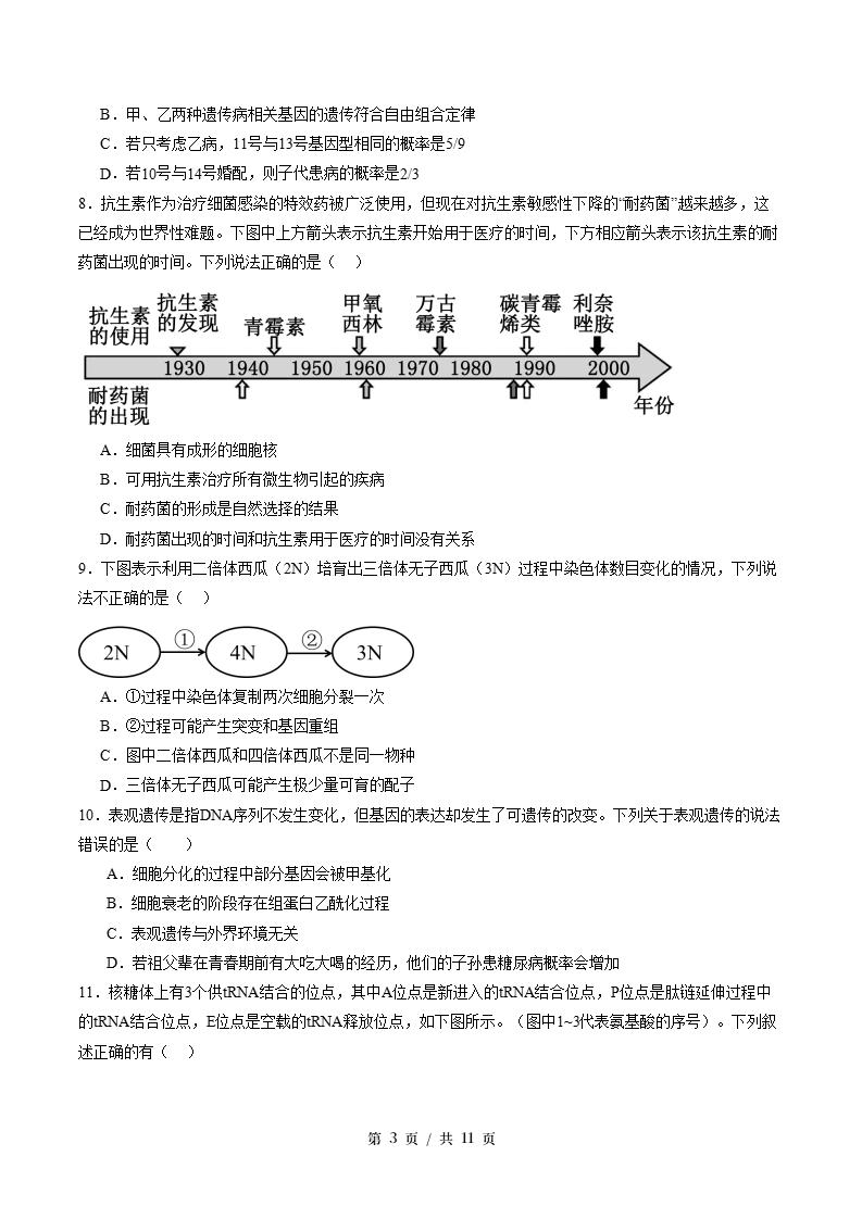 高中生物-高一下学期期末试卷答案解析浙科版插图同步试卷专项2