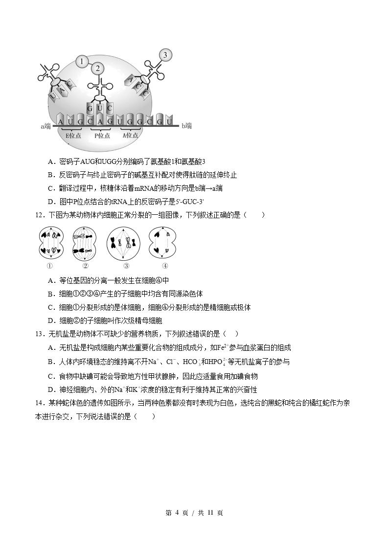 高中生物-高一下学期期末试卷答案解析浙科版插图同步试卷专项3