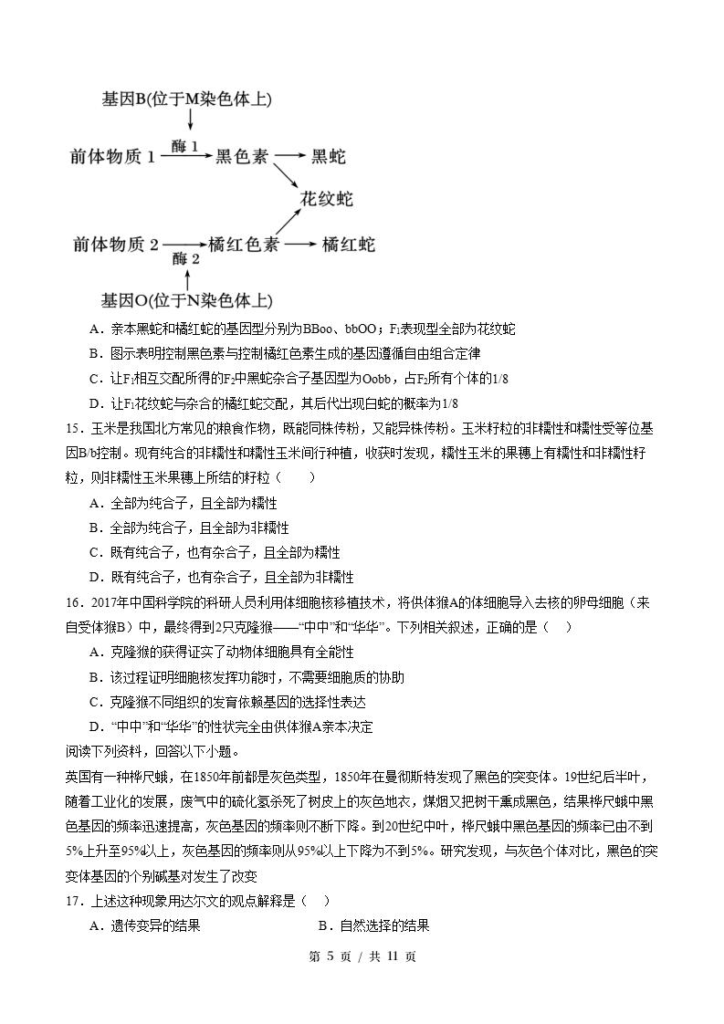 高中生物-高一下学期期末试卷答案解析浙科版插图同步试卷专项4